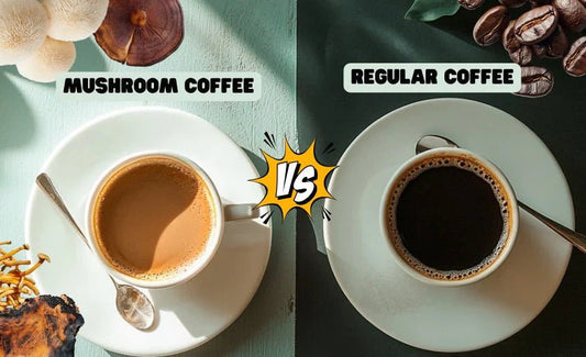 Coffee Vs Mushroom Coffee: Battle Royal - Sibin