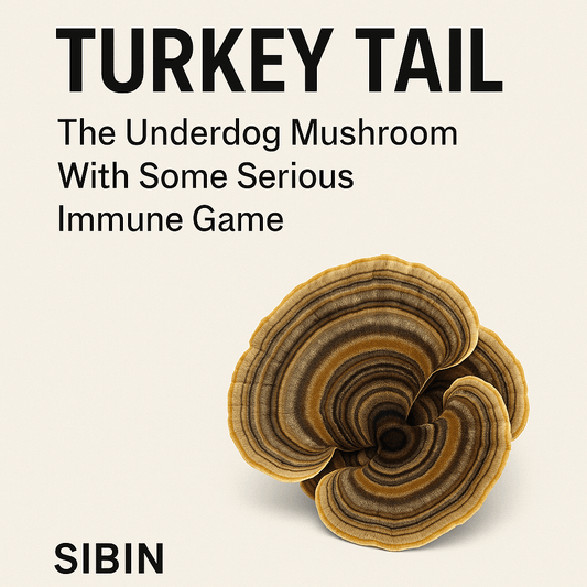 Turkey Tail: The Underdog Mushroom With Some Serious Immune Game - Sibin