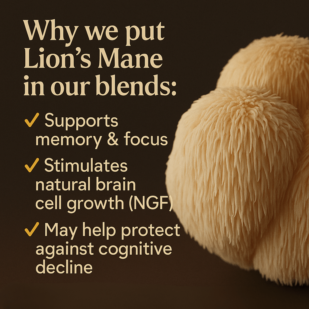 Lion’s Mane: The Brain-Boosting Mushroom We Swear By - Sibin