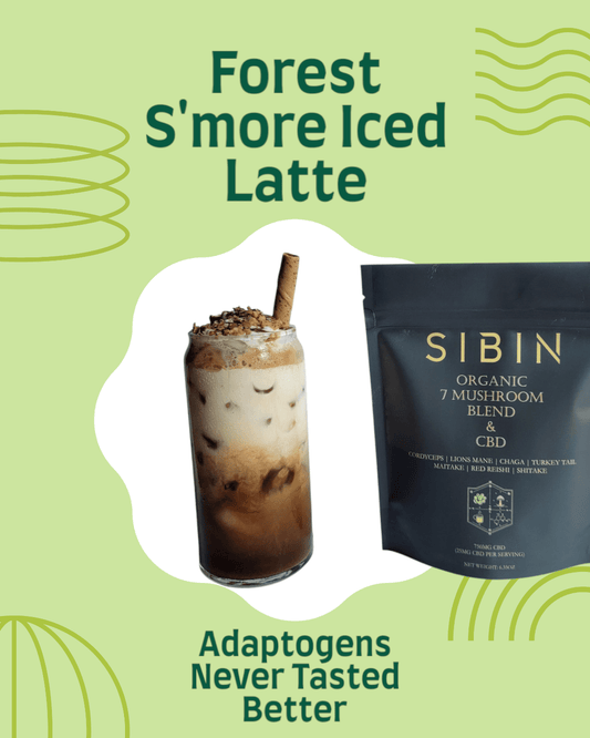 The Magical Forest S'more Iced Latte You Need to Try This Summer - Sibin