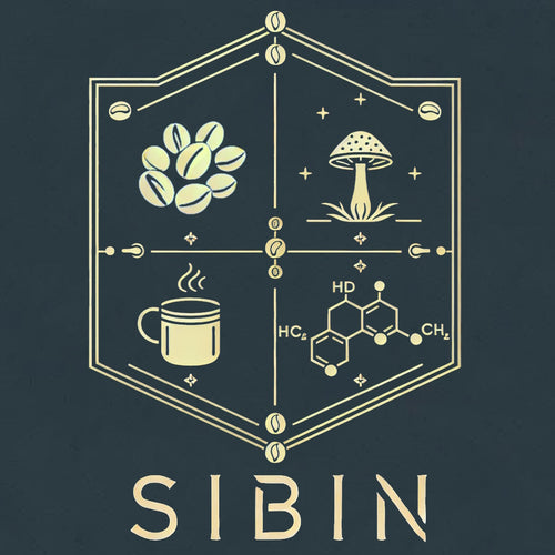 IBIN logo – functional mushroom coffee and adaptogen blends brand based in Bend, Oregon